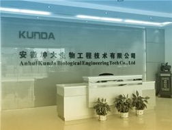 一呼百應(yīng) 技術(shù)賦能，智聯(lián)未來(lái)——上海技術(shù)咨詢(xún)頻道解析